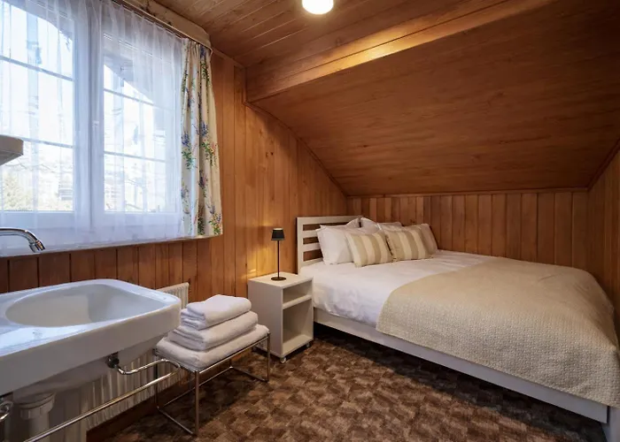 Cozy Traditional Chalet, Stunning Mountain Views Grindelwald