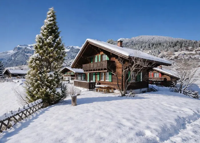 Cozy Traditional Chalet, Stunning Mountain Views Шале Гриндельвальд
